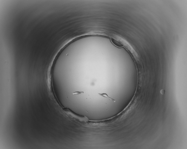 X0000102281284200808081454