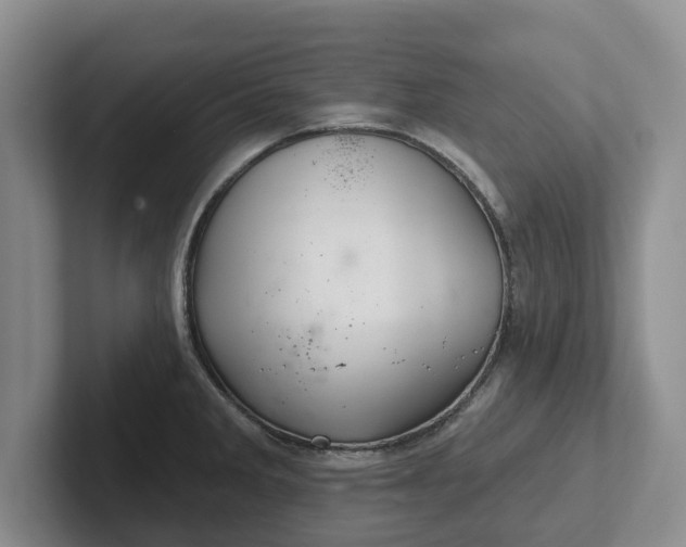 X0000102281285200808081454