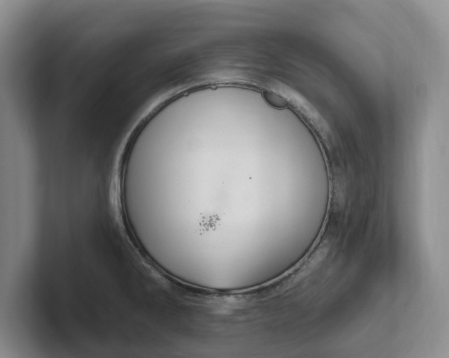 X0000102281286200808081454