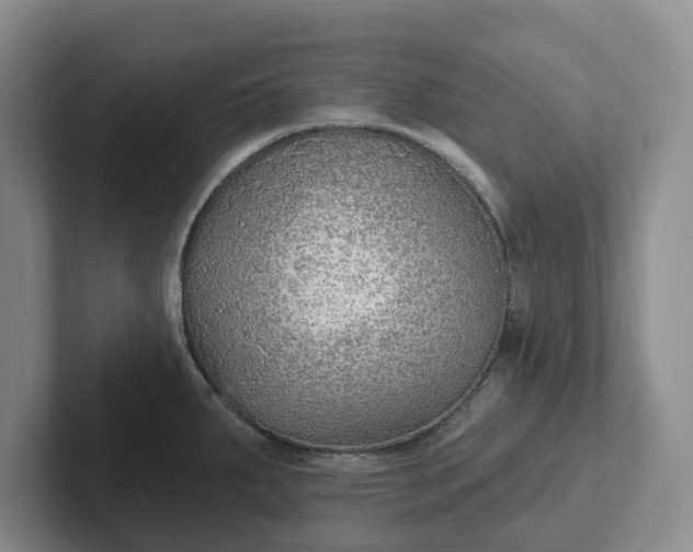 X0000102281287200808081454