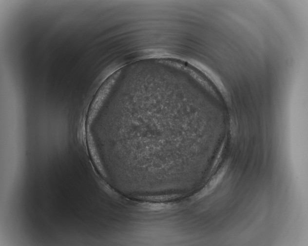 X0000102281289200808081454