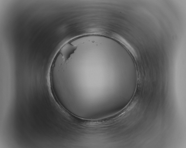 X0000102281291200808081454