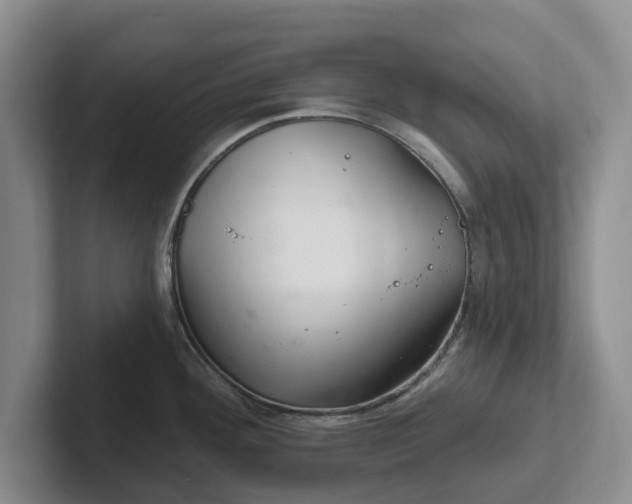 X0000102281292200808081454