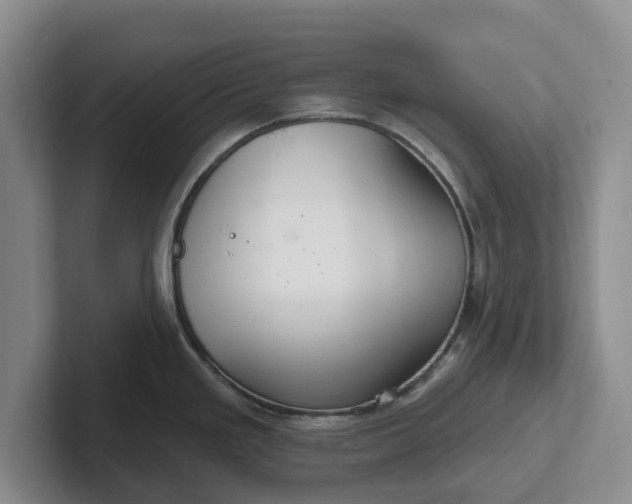 X0000102281293200808081454