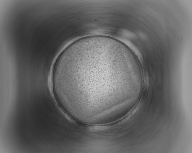 X0000102281294200808081454