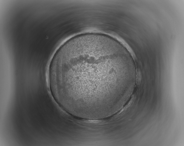 X0000102281295200808081454