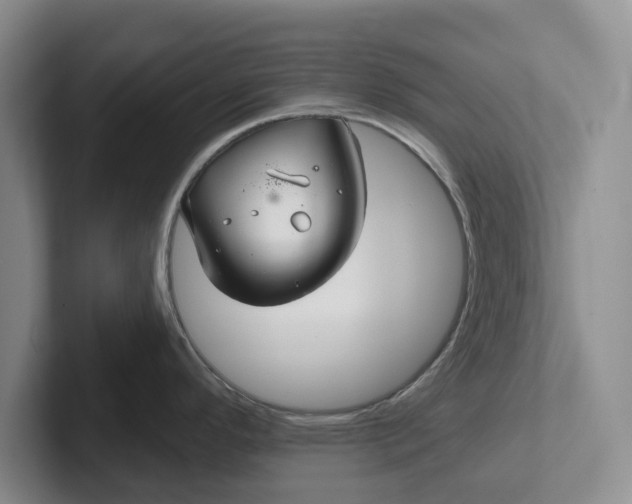 X0000102281296200808081454