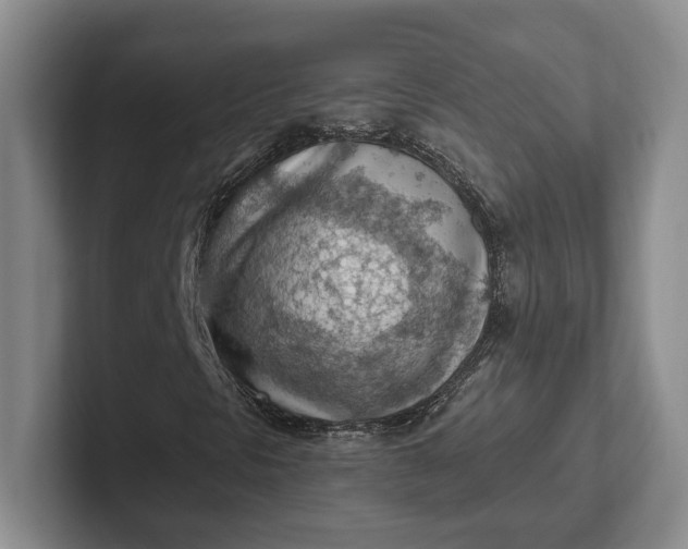 X0000102281297200808081453