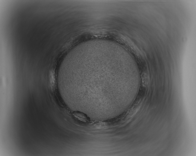 X0000102281298200808081453