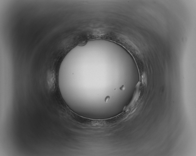 X0000102281299200808081453