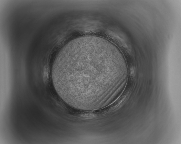 X0000102281300200808081453