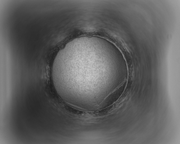 X0000102281301200808081453