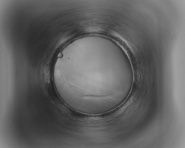 X0000102281306200808081454