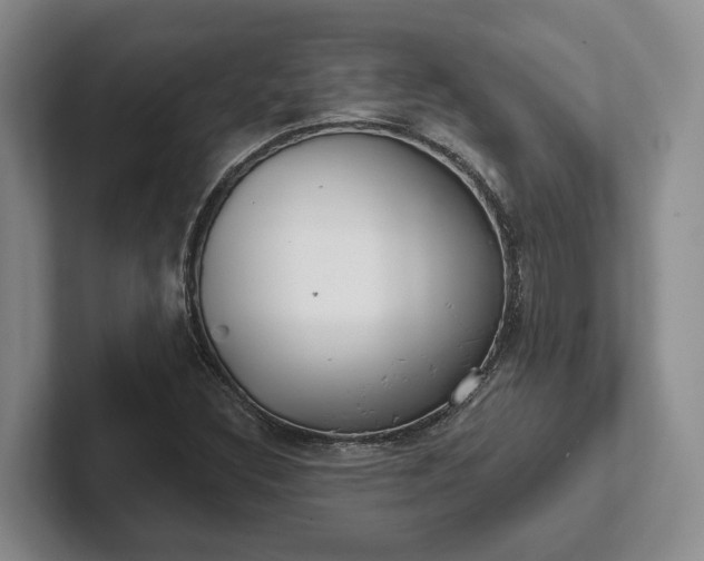 X0000102281308200808081454