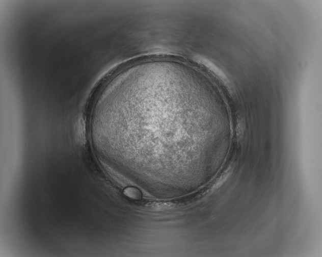 X0000102281310200808081454