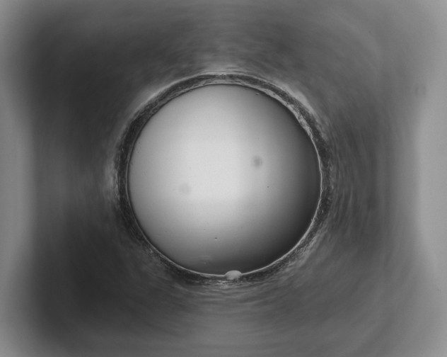 X0000102281311200808081454