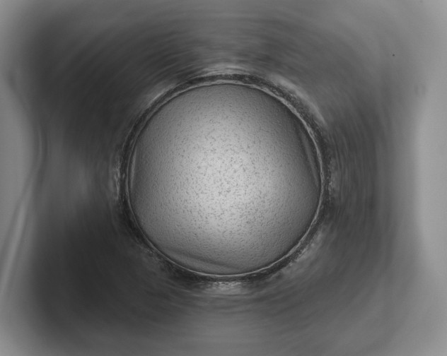 X0000102281313200808081454