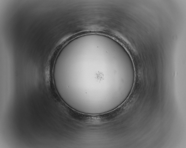 X0000102281315200808081454