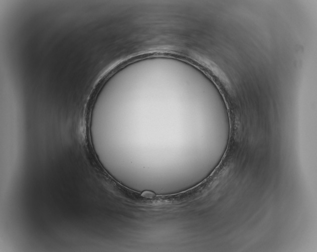 X0000102281316200808081454