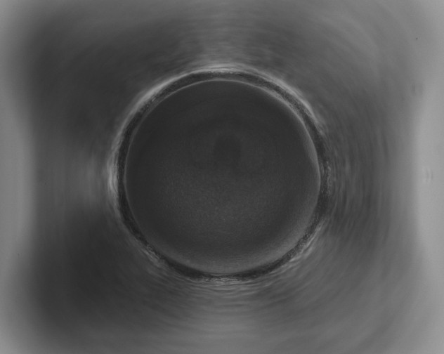 X0000102281319200808081454