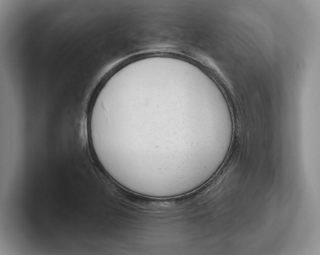 X0000102281320200808081454