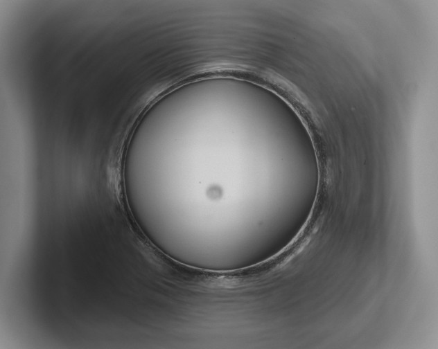 X0000102281321200808081454