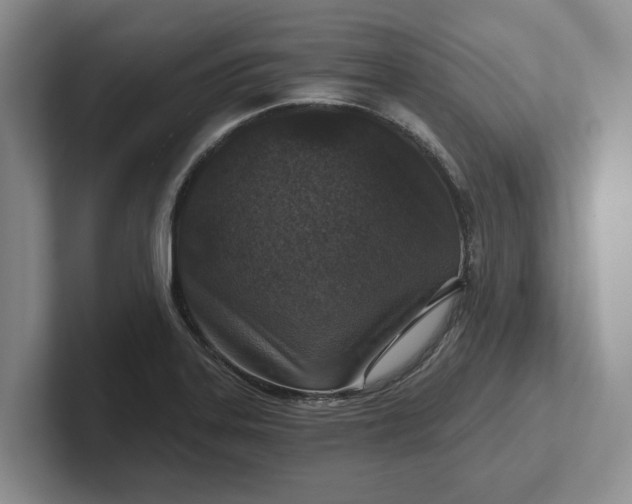 X0000102281323200808081454