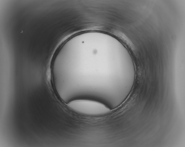 X0000102281324200808081454