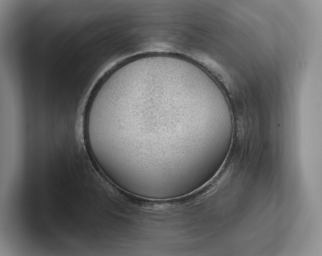 X0000102281326200808081454