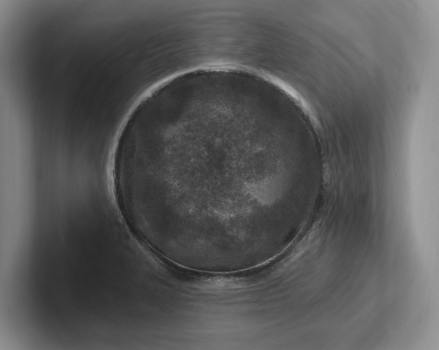 X0000102281327200808081454