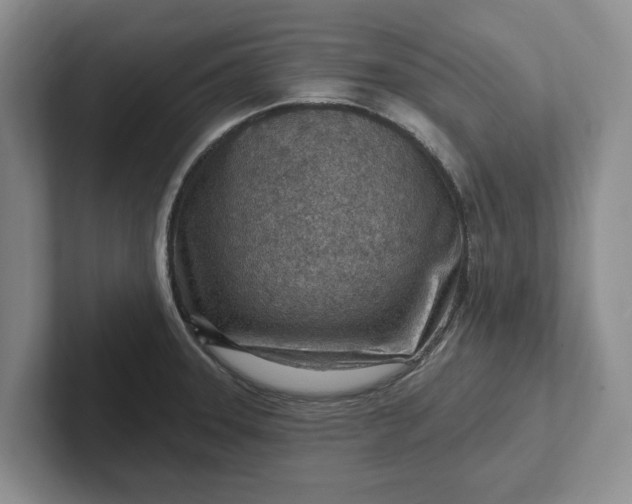 X0000102281331200808081454