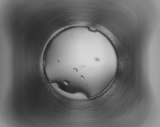 X0000102281332200808081454