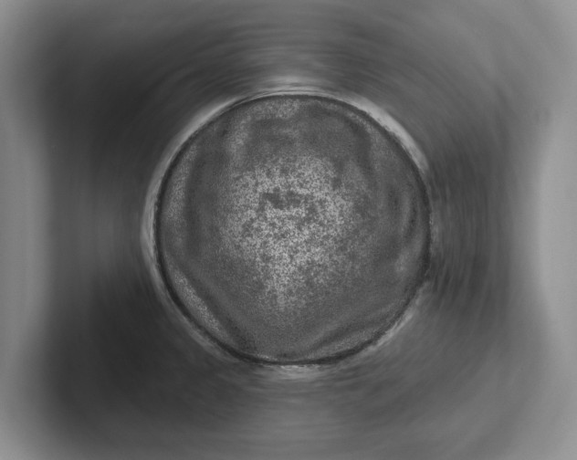 X0000102281333200808081454