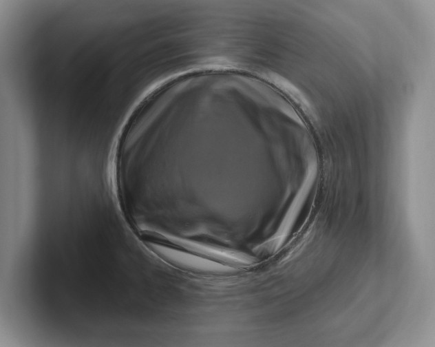 X0000102281334200808081454