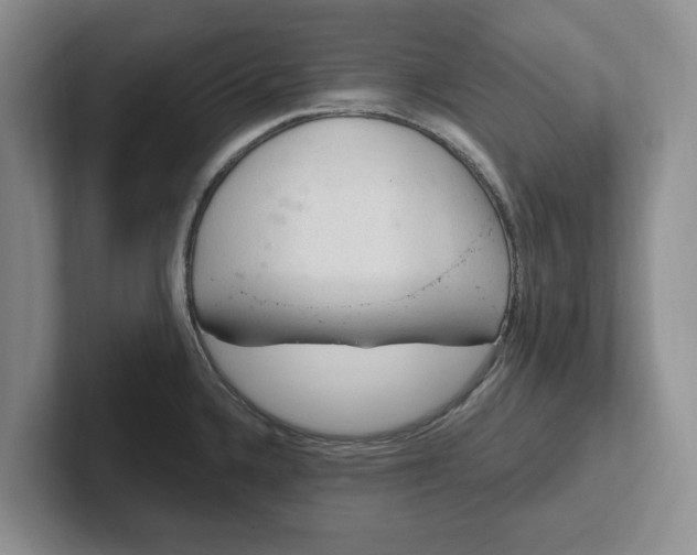 X0000102281336200808081454