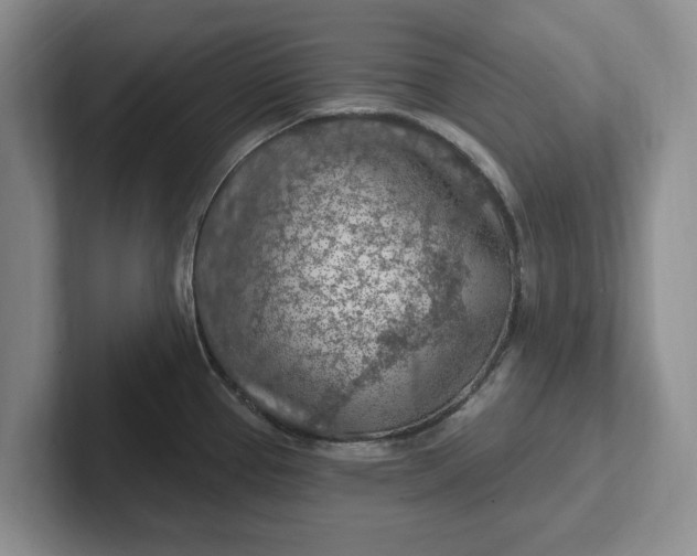 X0000102281337200808081454