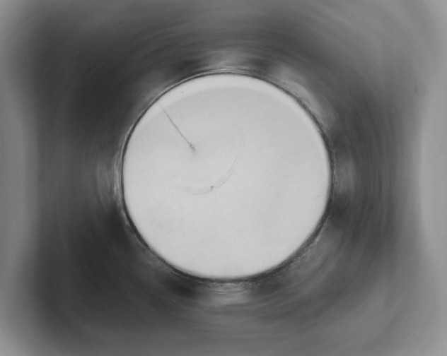 X0000102281338200808081454