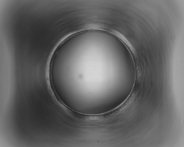 X0000102281339200808081454