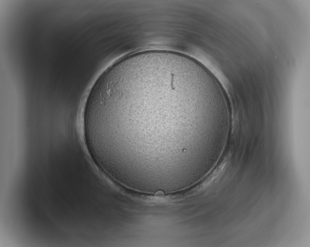 X0000102281341200808081454