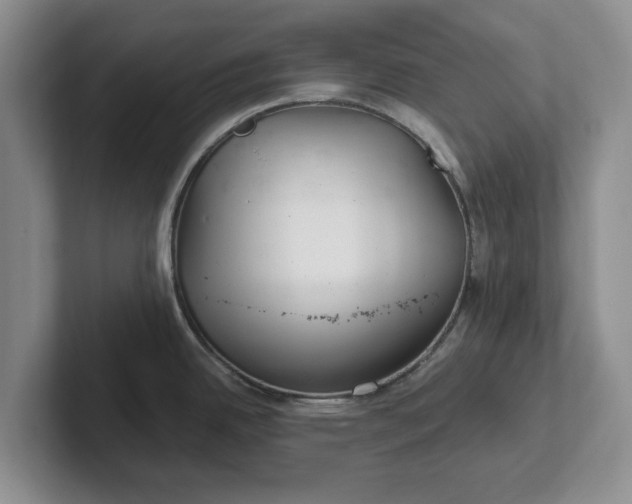 X0000102281342200808081454