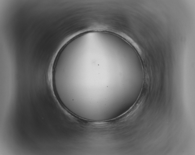 X0000102281343200808081454