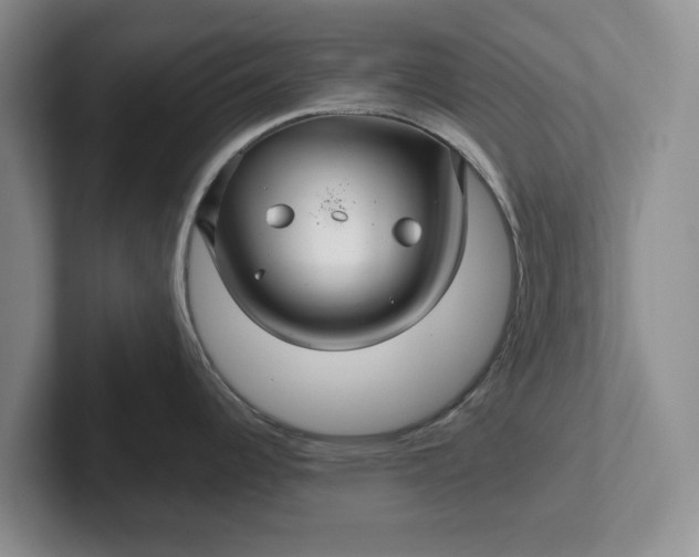 X0000102281344200808081454