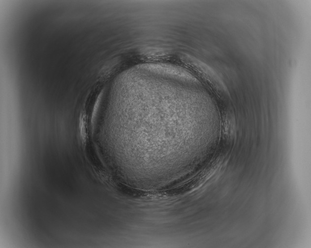 X0000102281346200808081453