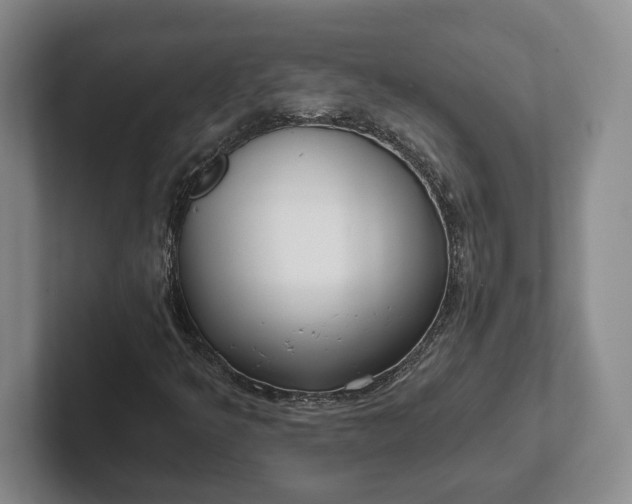 X0000102281349200808081453