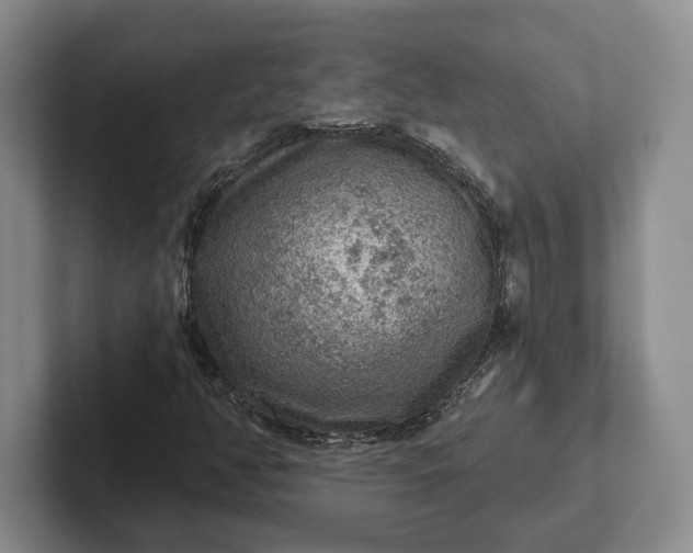 X0000102281350200808081453