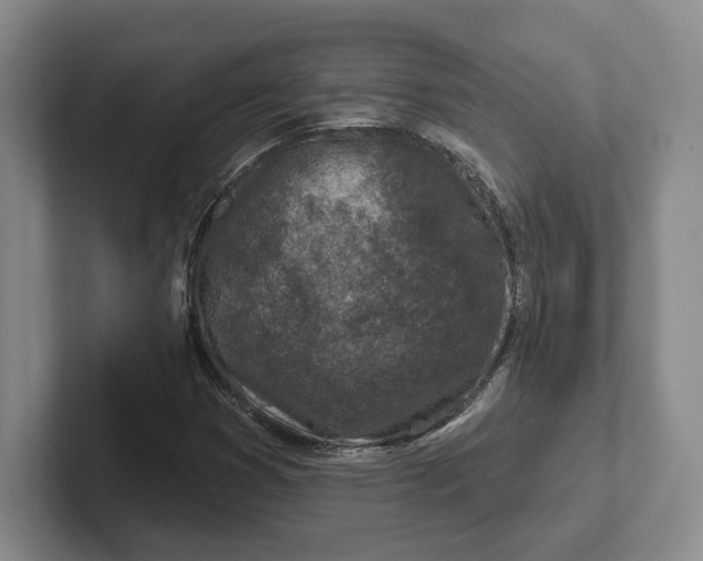 X0000102281353200808081453