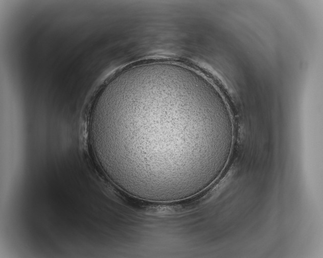 X0000102281355200808081453