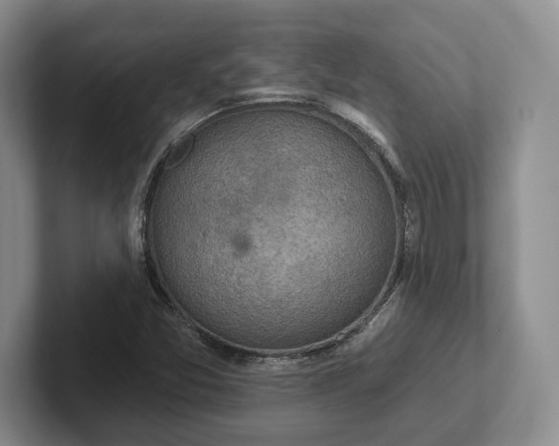 X0000102281357200808081453