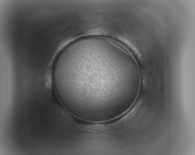 X0000102281358200808081453