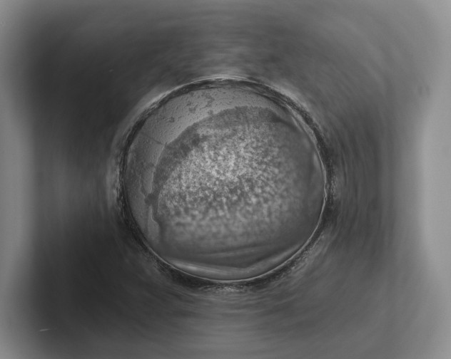 X0000102281359200808081453